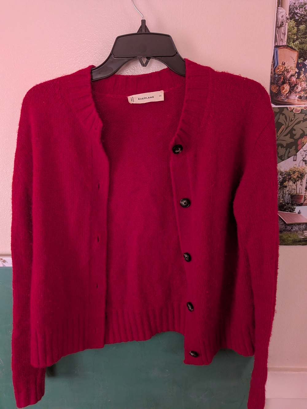 Everlane Cherry-Red Button Cardigan Sweater